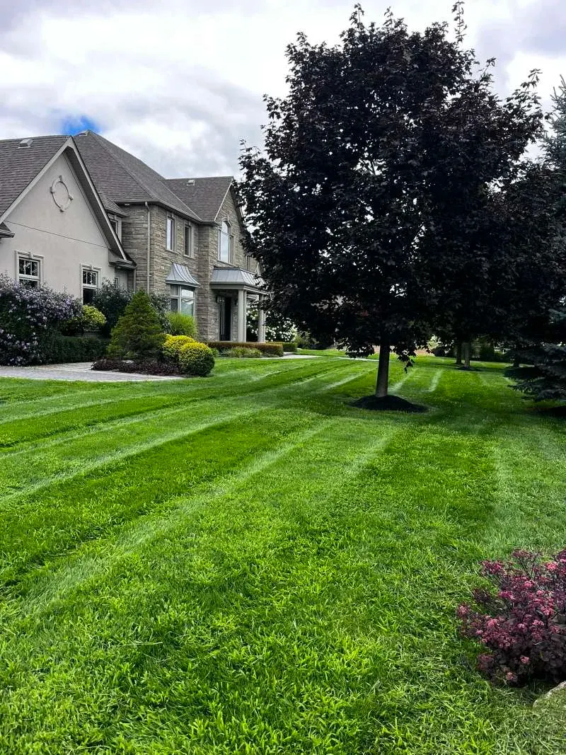 Residential lawn maintenance and cleanup service in Port Perry