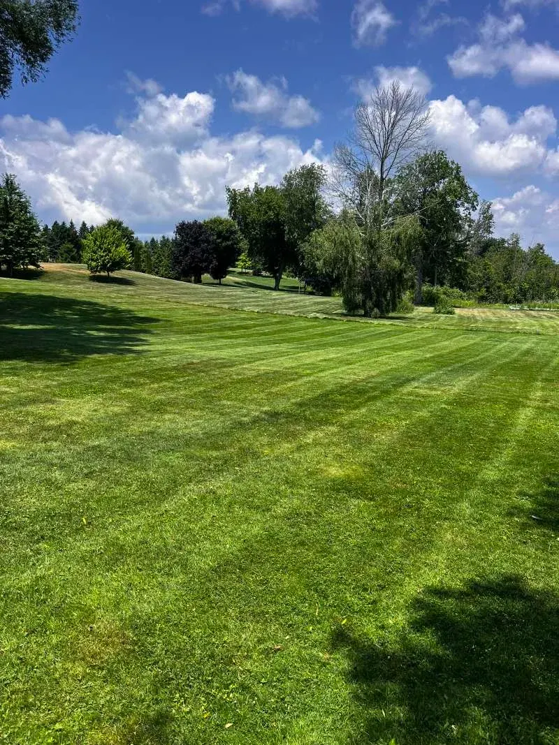 Seasonal lawn care — grass cutting and edging for a Bowmanville property
